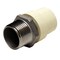 Apollo 3/4 in. x 3/4 in. CPVC CTS Slip Stainless Steel MPT Adapter CPVCMA34 - alternate 3